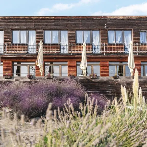 Pension Jezerná, hotel v destinaci Zduchovice