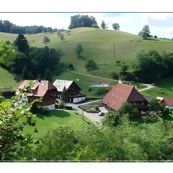 Vogtadeshof, hotel in Wolfach