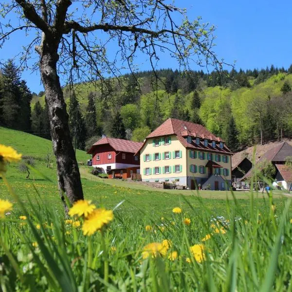 Offenburger Hof, hotel a Schuttertal