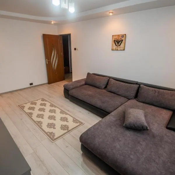 Central Apartament Fălticeni, hotel in Fălticeni