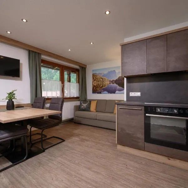 Pienz Apart, hotel em Oetz