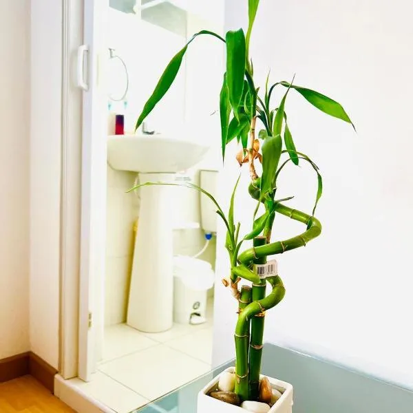 Best Habitaciones Tranquilas Embajada de Mexico, hotel in Bogotá