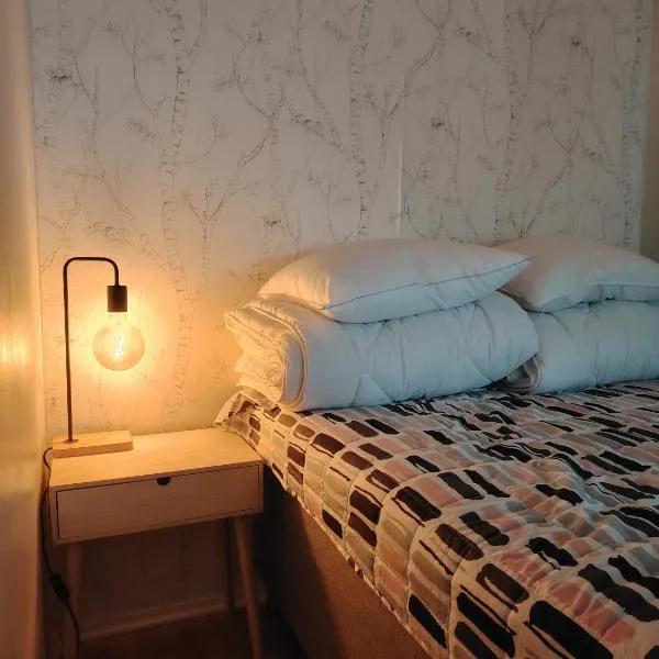 Studio in Joensuu, hotel in Joensuu