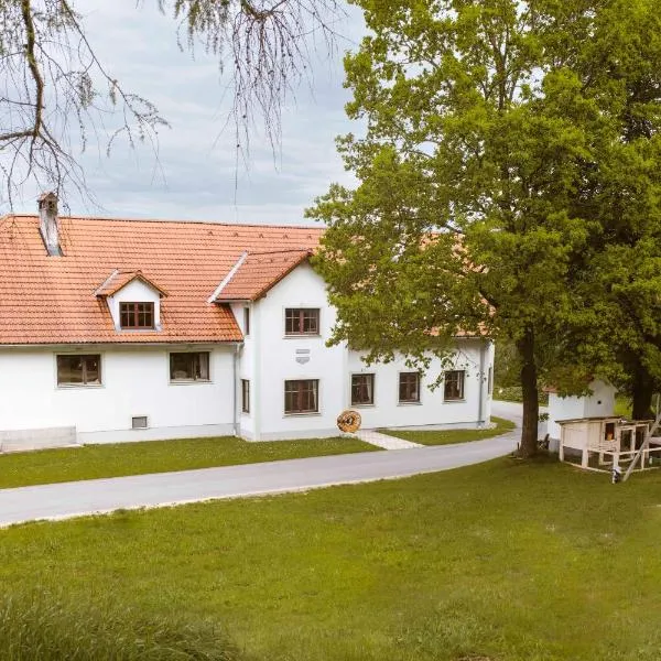 Knappenhof, hotel en Rappottenstein