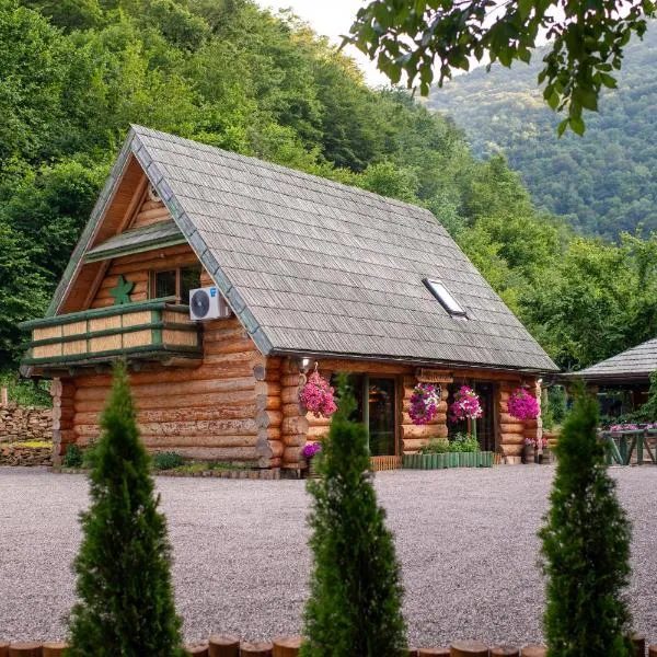 Villa Bosnia, hotel in Donji Vakuf