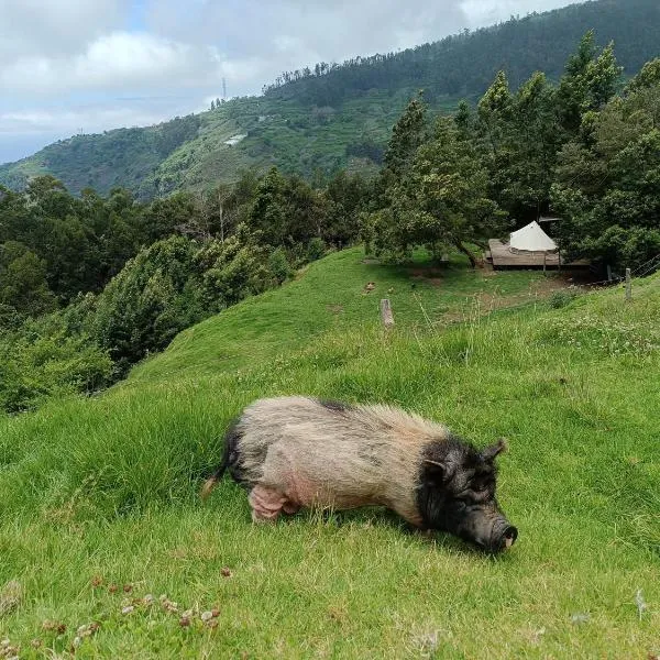 Arambha ecovillage farmstay, khách sạn ở Tábua