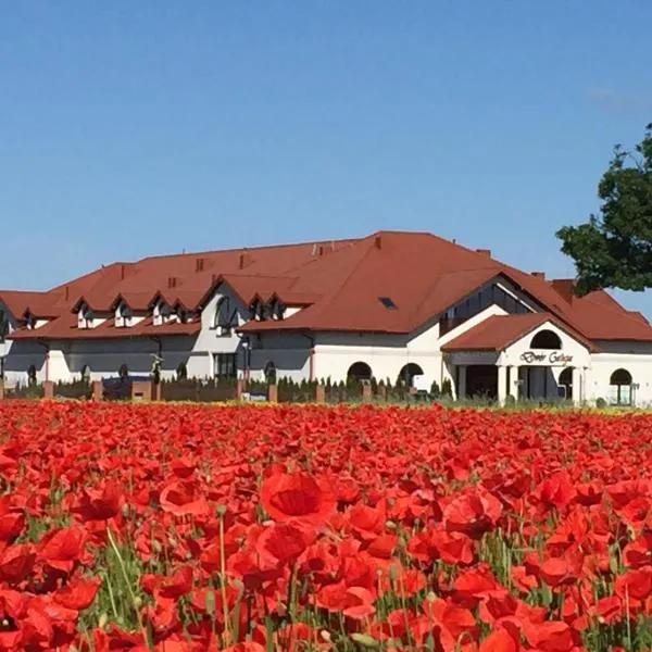 Hotel Dwór Galicja, hotel in Modliborzyce