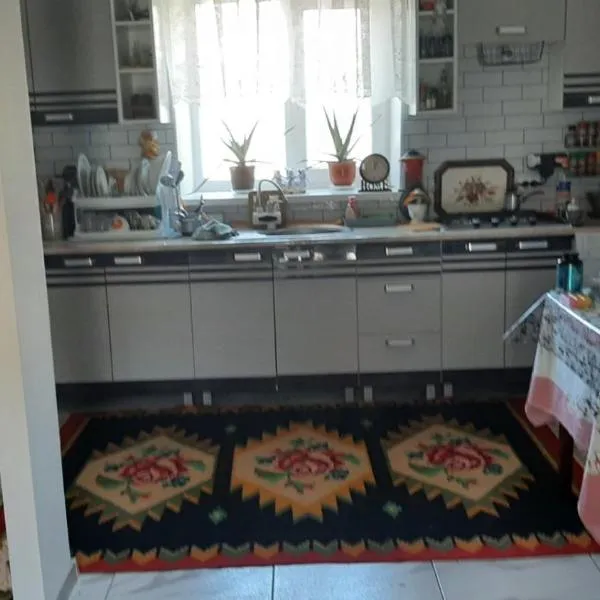Camera in Casă de la țară lângă Vinăria Purcari Room in House in the village near Purcari Winery, hotel v destinaci Purcari