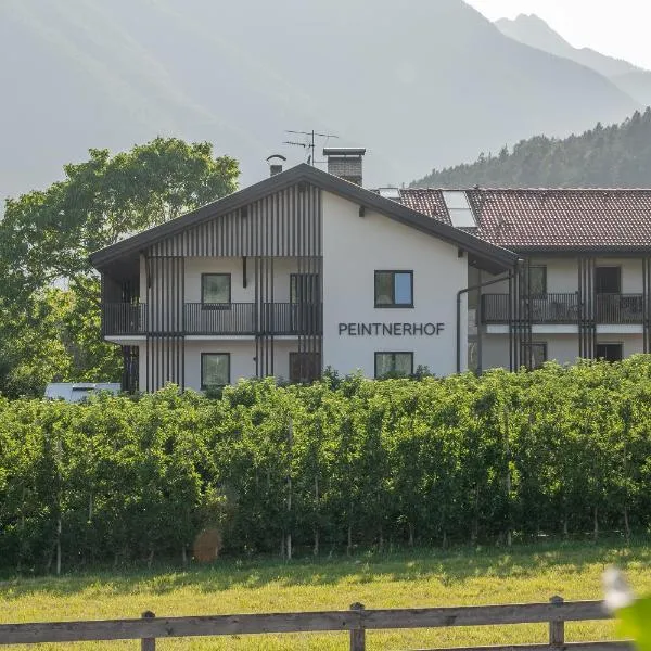 Peintnerhof Appartments & Zimmer, hotel v destinaci Naz-Sciaves
