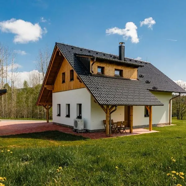 Šumavská Vlčice - Dům, khách sạn ở Strážný