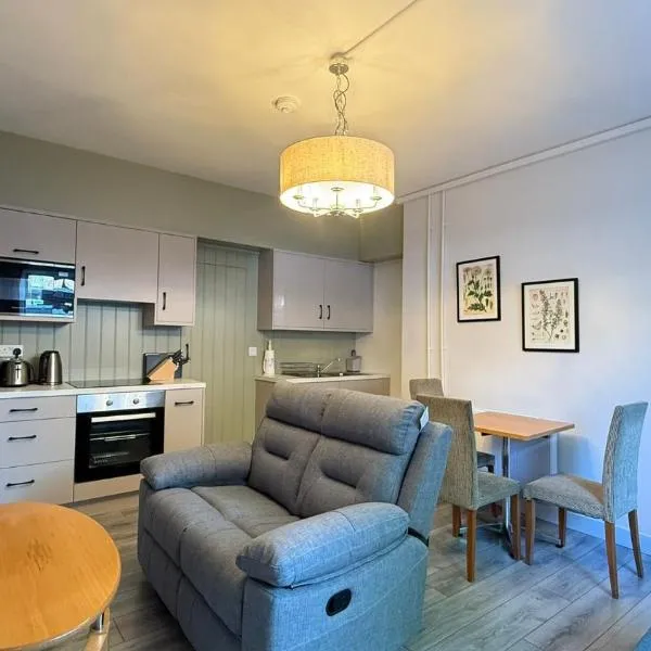 Waterloo Road 2 Bed Apartment, Hotel in Dublin