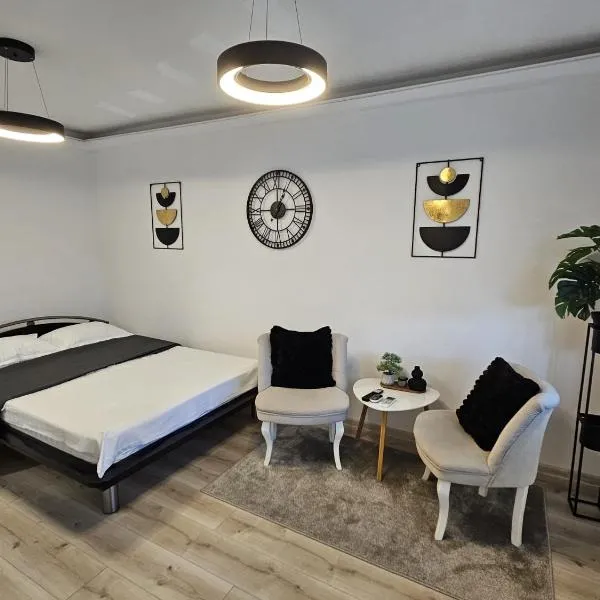 Radu's Room, Hotel in Curtea de Argeş