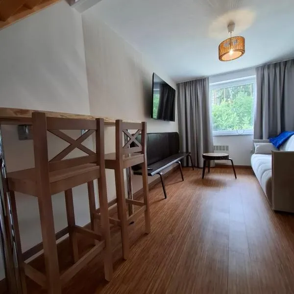 Apartamenty Młyn, hotel in Męcikał