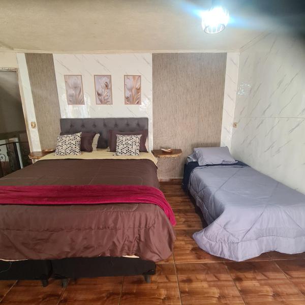 Suite Portal Campos