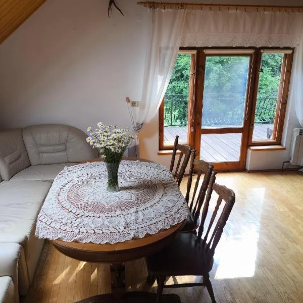 Agroturystyka - POD DWOREM, hotel en Jureczkowa