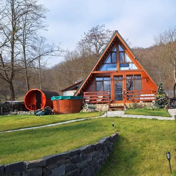 Cabana Pietrar, hotel in Feneş