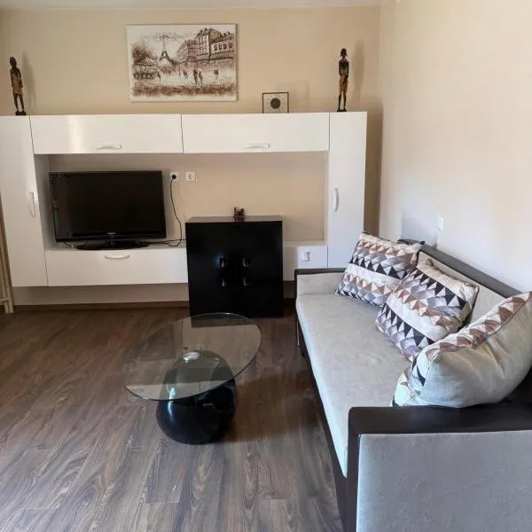 Central apartments Pleven, hotel in Pleven