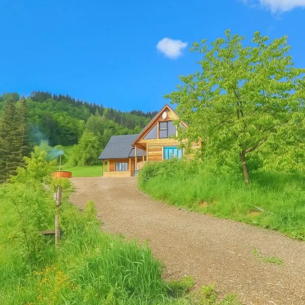Căsuța de la munte, khách sạn ở Bistriţa