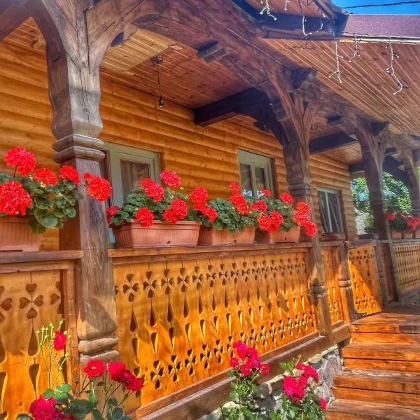Pensiunea Casa Traditiilor, hotel in Ieud