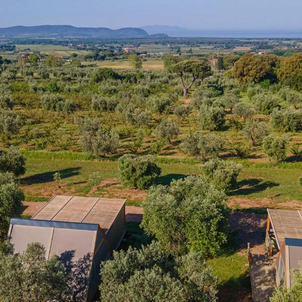 Agriturismo Glamping L'Olivo Country Holidays, hotel in Campiglia Marittima