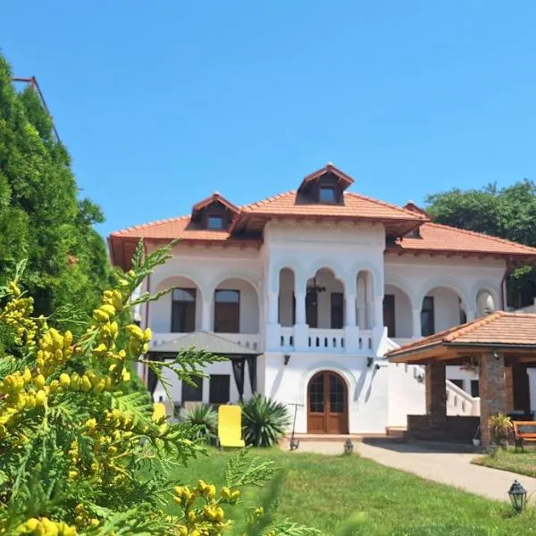 Conac Bistreanu, hotel in Eforie Sud