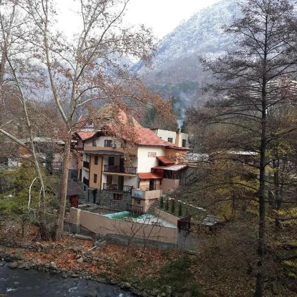 Casa Crina, hotel v destinaci Băile Herculane