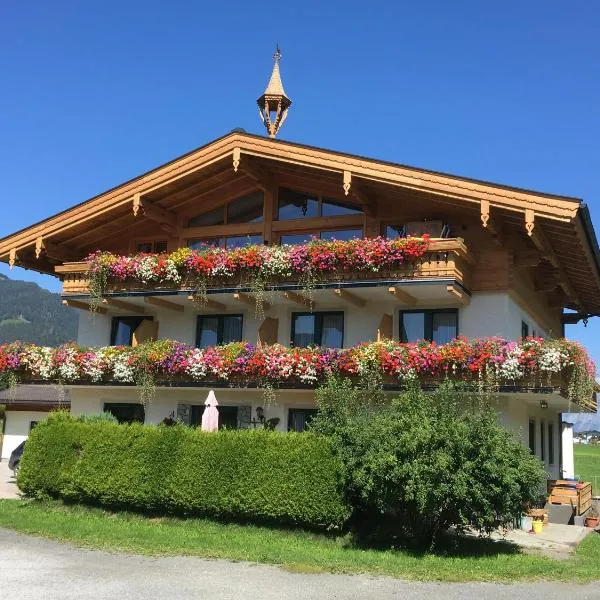 Pointschneiderhof, מלון במאיסהופן