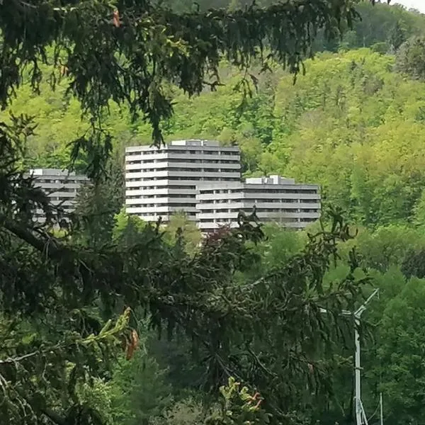 3 Zimmer Apartment Kostenfreien WLAN, Hotel in Bad Harzburg