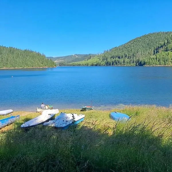 Vila Nature and Luxury, hotel in Beliş