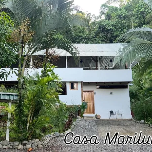 Entire home plus pool between Cahuita and Puerto Viejo Excellent Location, hotel in Puerto Viejo