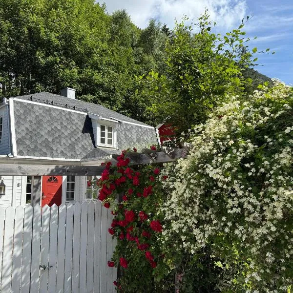 Villa Rjukan, hotel in Rjukan