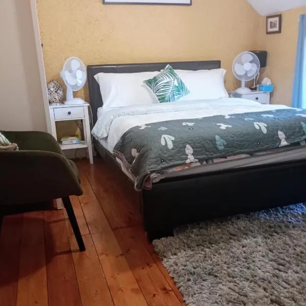 A Comfy Bedroom and Bathroom on own private top floor of a Home Stay 10 minutes Walk to the Ctr Free Parking, hotel a Cork