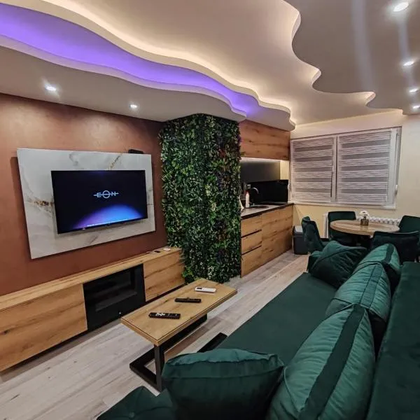 Princ lux spa with sauna and jacuzzi, hotel in Novi Sad