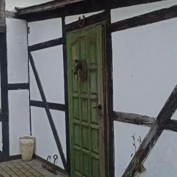 Agroturystyka Stajnia Dorado Pokoje Gościnne i Apartamenty, hotel in Leoncin