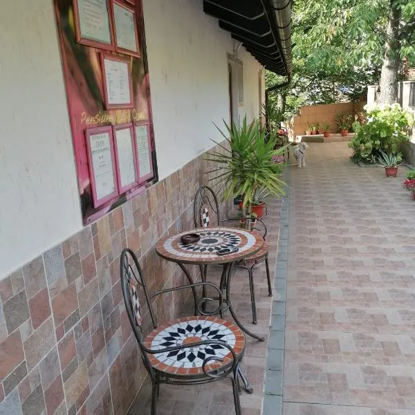 Casa Crina، فندق في بايلي هيركولان