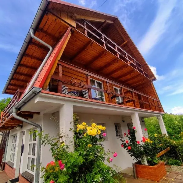 Dom na Karkonoskiej, khách sạn ở Karpacz