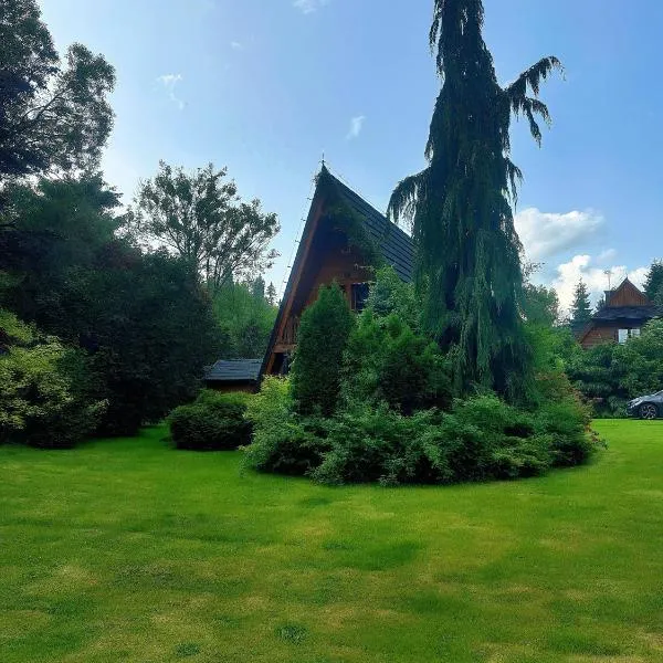 Góralski domek z kominkiem, wygodny, ciepły, zwierzaki mile widziane, ogrodzony, hotel in Łopuszna