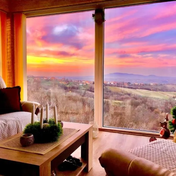 Vila POGLED, hotel v destinaci Aranđelovac