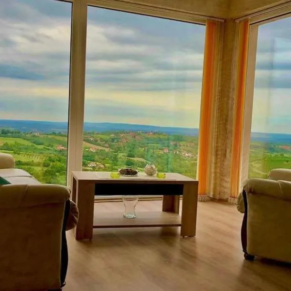 Vila POGLED, hotel in Arandjelovac