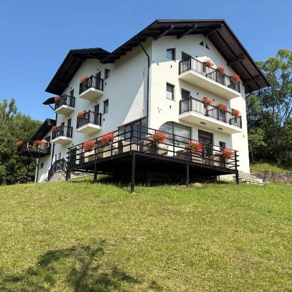 Liniștea Codrului, hotel in Borşa