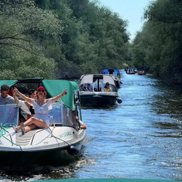 Casa Olga, hotel in Murighiol