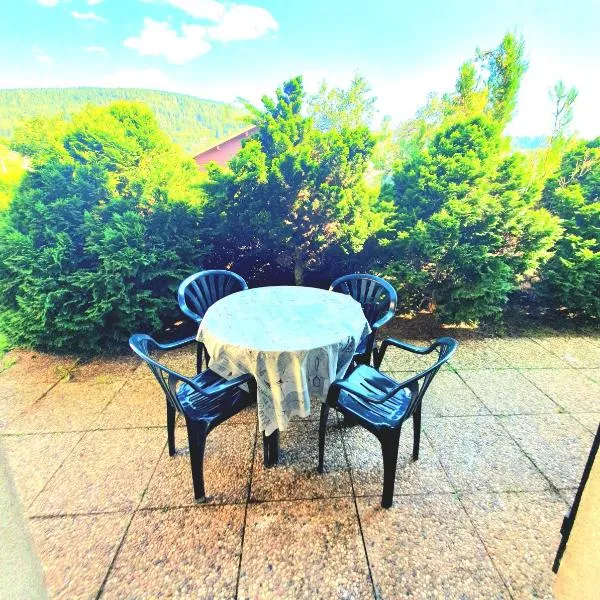 Appartement chalet avec chambre et terrasse, hotel in Gérardmer