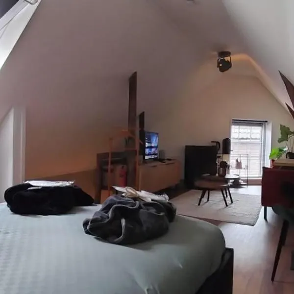Wellness B&B Hartje Coevorden, hotel in Coevorden