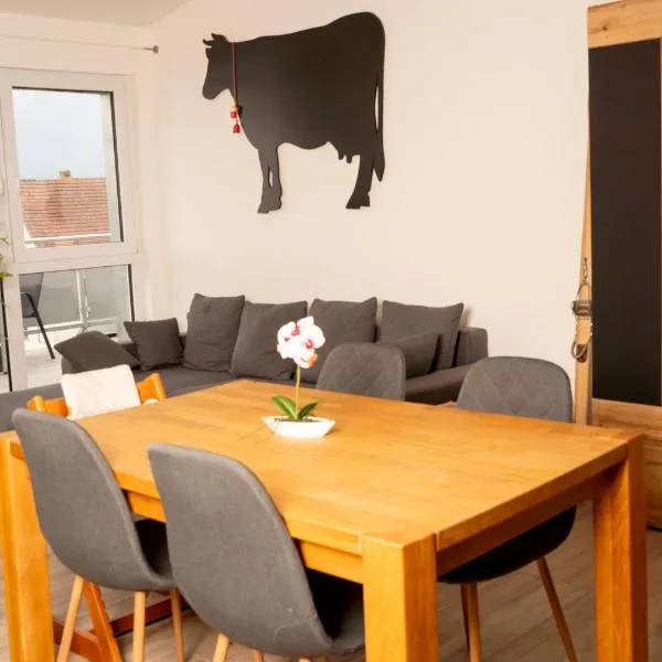 Moderne 3 Zimmer Wohnung Panorama mit großem Balkon für 4Personen inklusive Wifi und Parkplatz、グンツェンハウゼンのホテル
