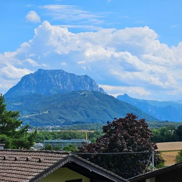 Gemütliche Wohnung in der Nähe von Gmunden, Hotel in Ohlsdorf