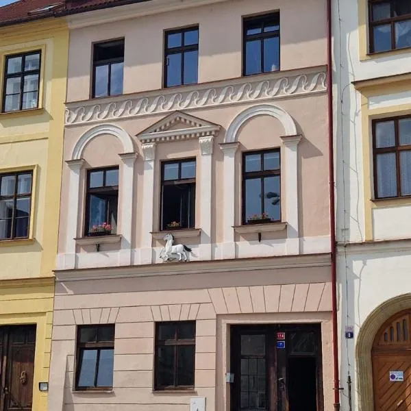 Apartmán Hradec Králové - U Bílého koně, hotel in Hradec Králové