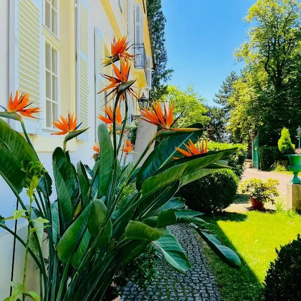 Villa Schloss Rimsingen Fine Apartments, hotel in Breisach am Rhein