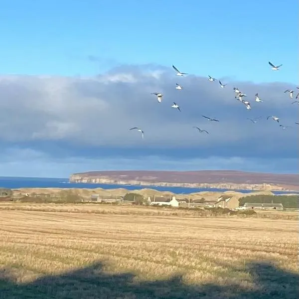 Pinelodge, Dunnet Bay, hotel in Thurso