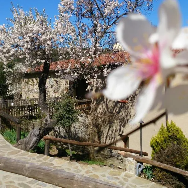 Valdolázaro, hotel v destinaci Los Navalucillos