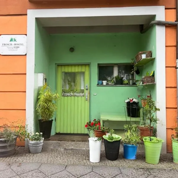 Pension Frosch Hostel, hotel in Berlin